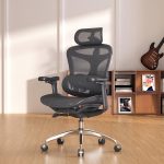SIHOO Doro C300 Ergonomic Office Chair