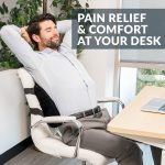 ComfiLife Lumbar Support Back Pillow Office Chair