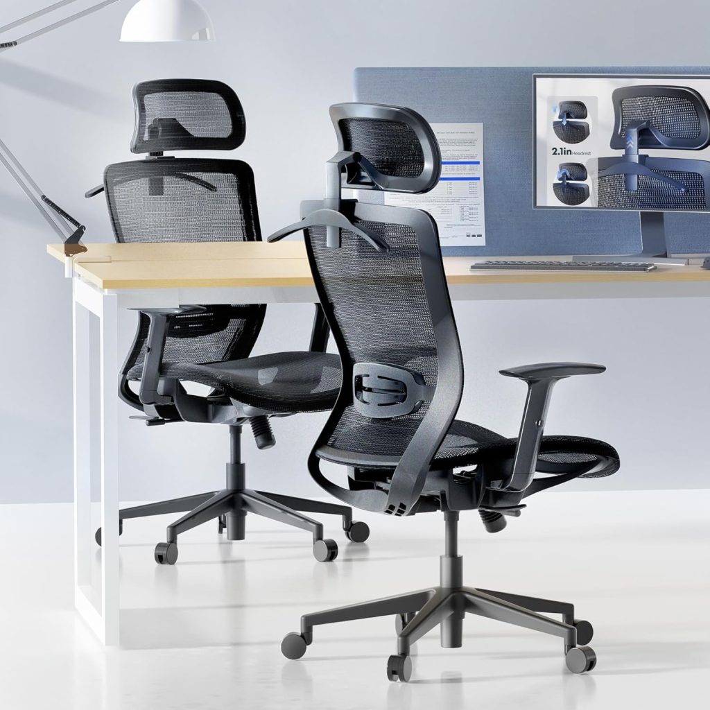 FLEXISPOT Ergonomic Office Chair High Back