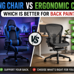 Gaming Chair vs Ergonomic Chair
