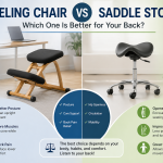 Kneeling Chair vs Saddle Stool