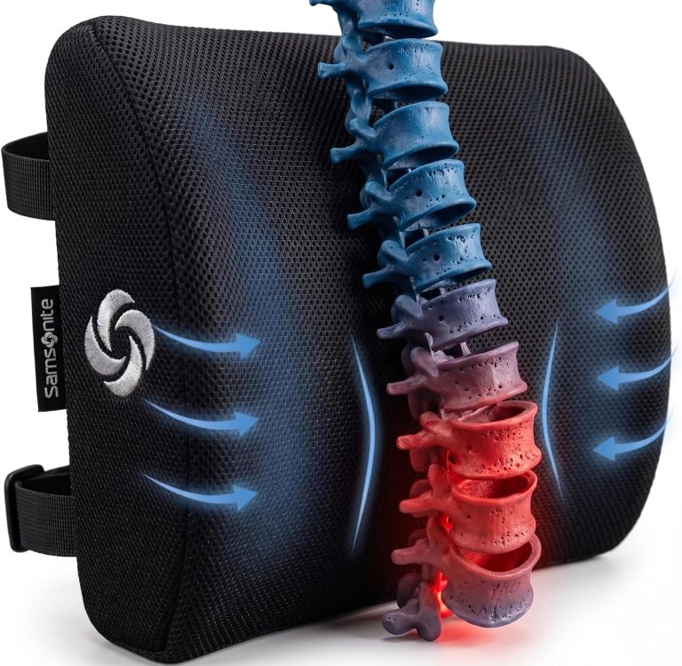 Samsonite Lumbar Support Pillow