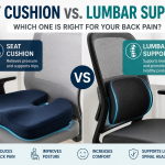 Seat Cushion vs. Lumbar Support