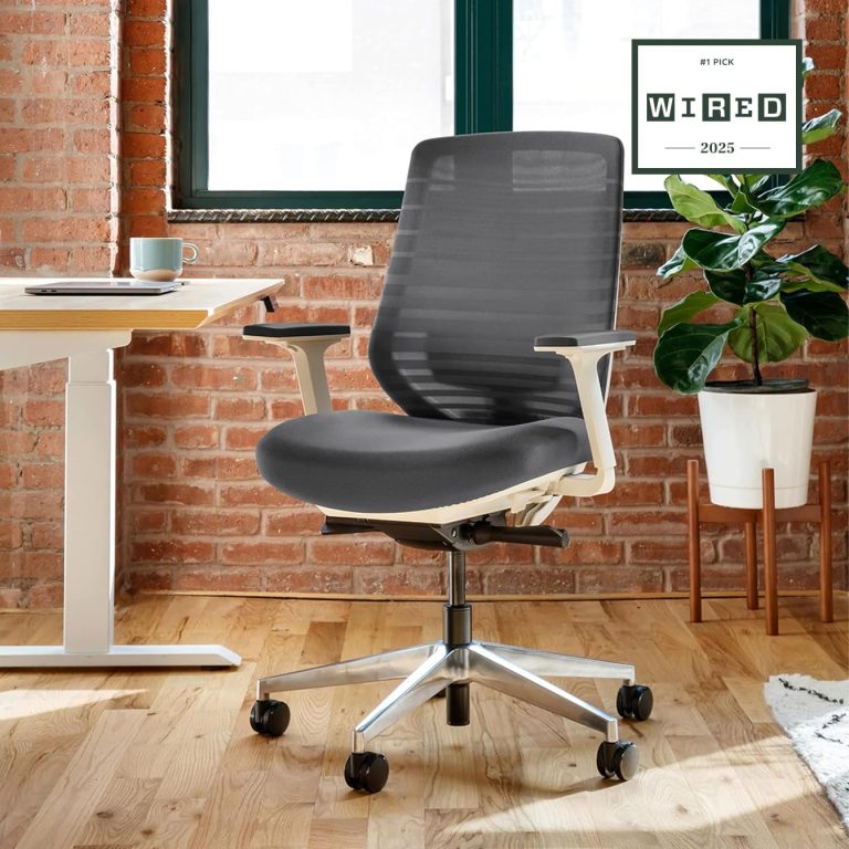 Branch Ergonomic Chair