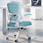TRALT Office Chair - Ergonomic Desk Chair with Adjustable Lumbar Support