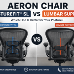 Aeron Chair PostureFit vs Lumbar Support