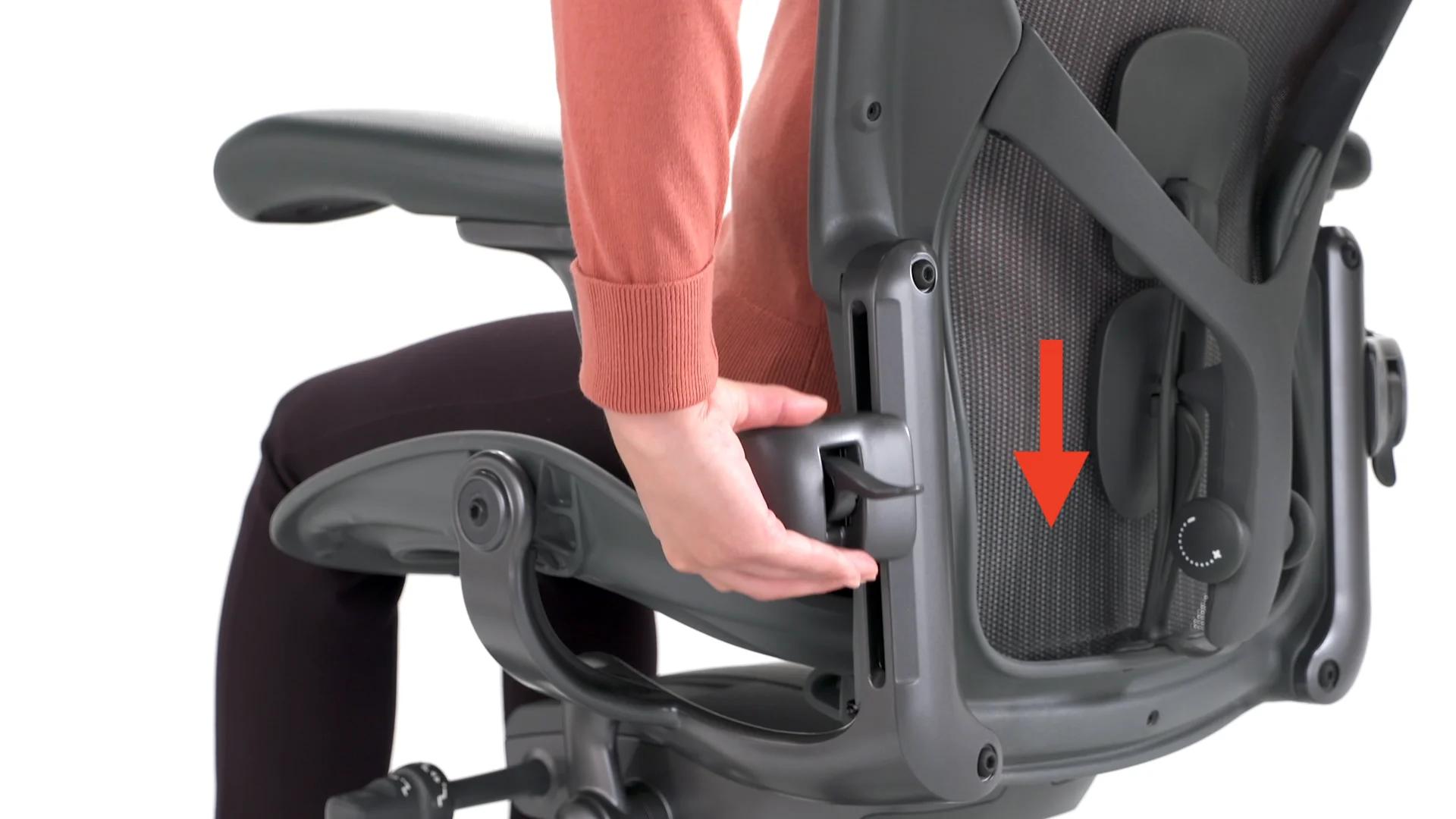 Aeron Lumbar Support