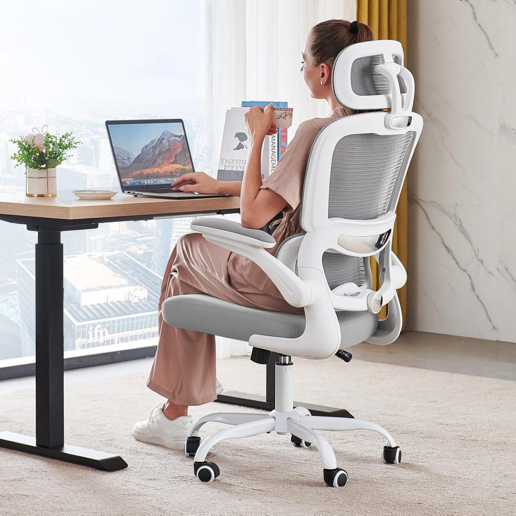 RALT Office Chair Ergonomic Desk Chair