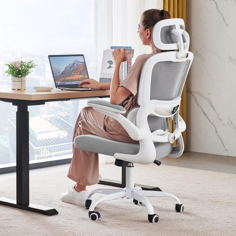 RALT Office Chair Ergonomic Desk Chair